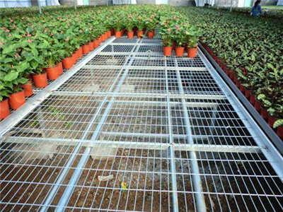 苗床網片